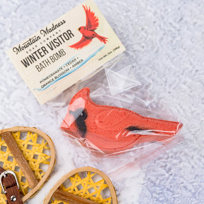 Winter Visitor Bath Bomb