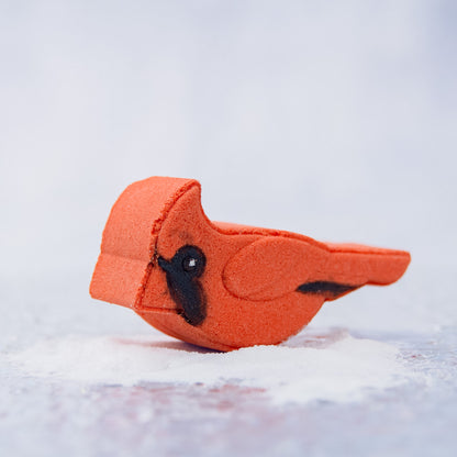 Winter Visitor Bath Bomb